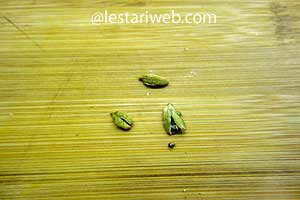 nutmeg & cardamoms seeds